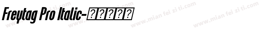 Freytag Pro Italic字体转换